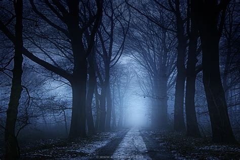 america and china are entering the dark forest bloomberg